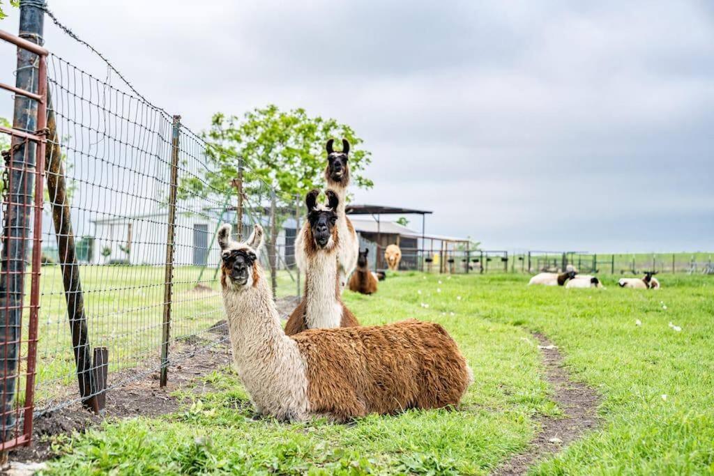Silo House At Laughing Llama Farm Troy Екстер'єр фото