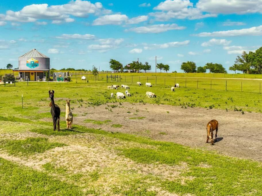 Silo House At Laughing Llama Farm Troy Екстер'єр фото